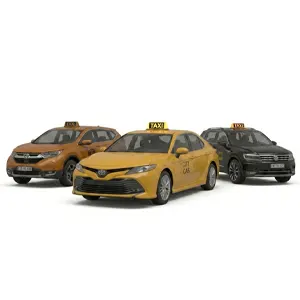 Gestión de Flotas De Taxi